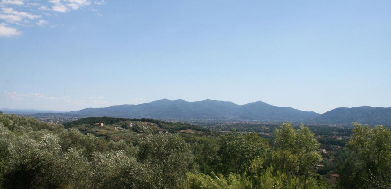Вилла Poderi Lenzi Лукка Экстерьер фото