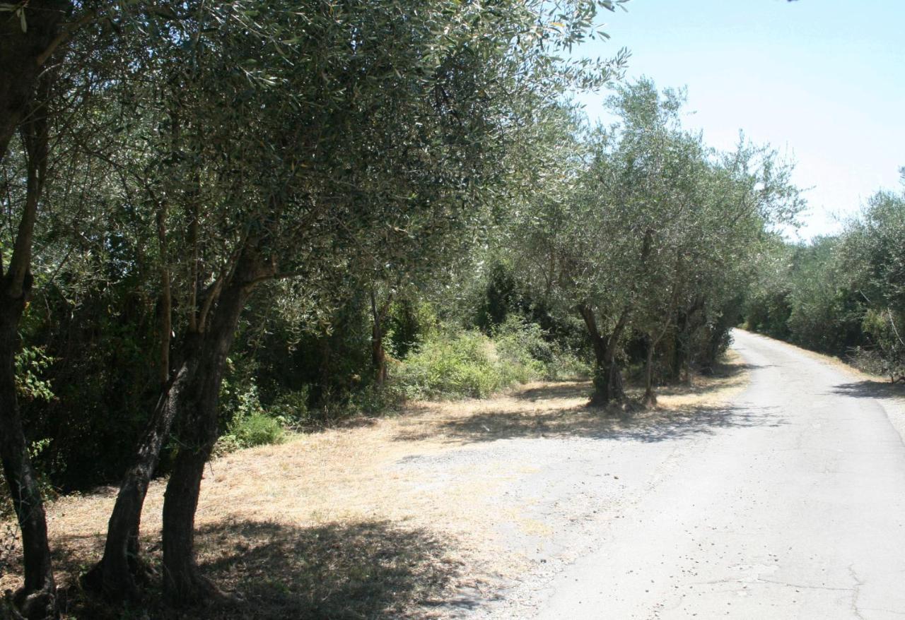Вилла Poderi Lenzi Лукка Экстерьер фото