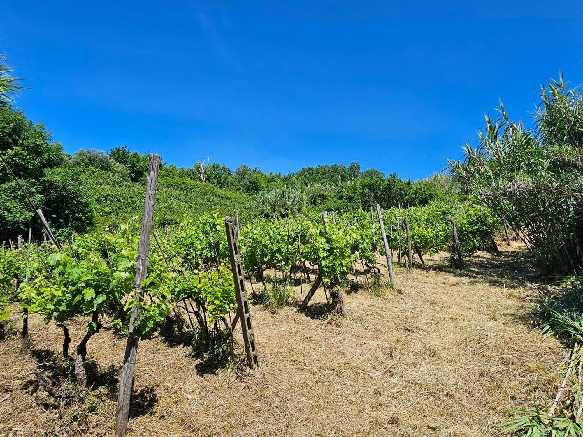 Вилла Poderi Lenzi Лукка Экстерьер фото